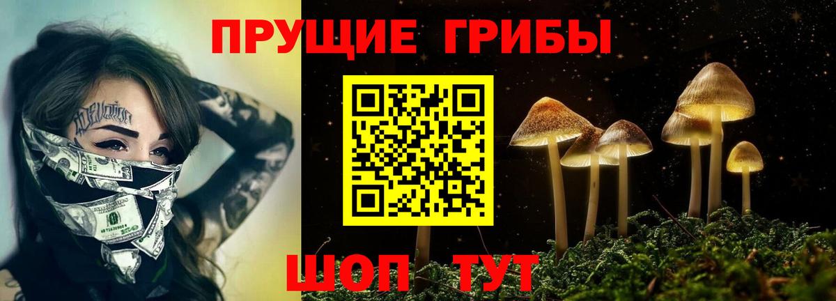 Алейск  Галлюциногенные грибы мухоморы  Вход с VPN 